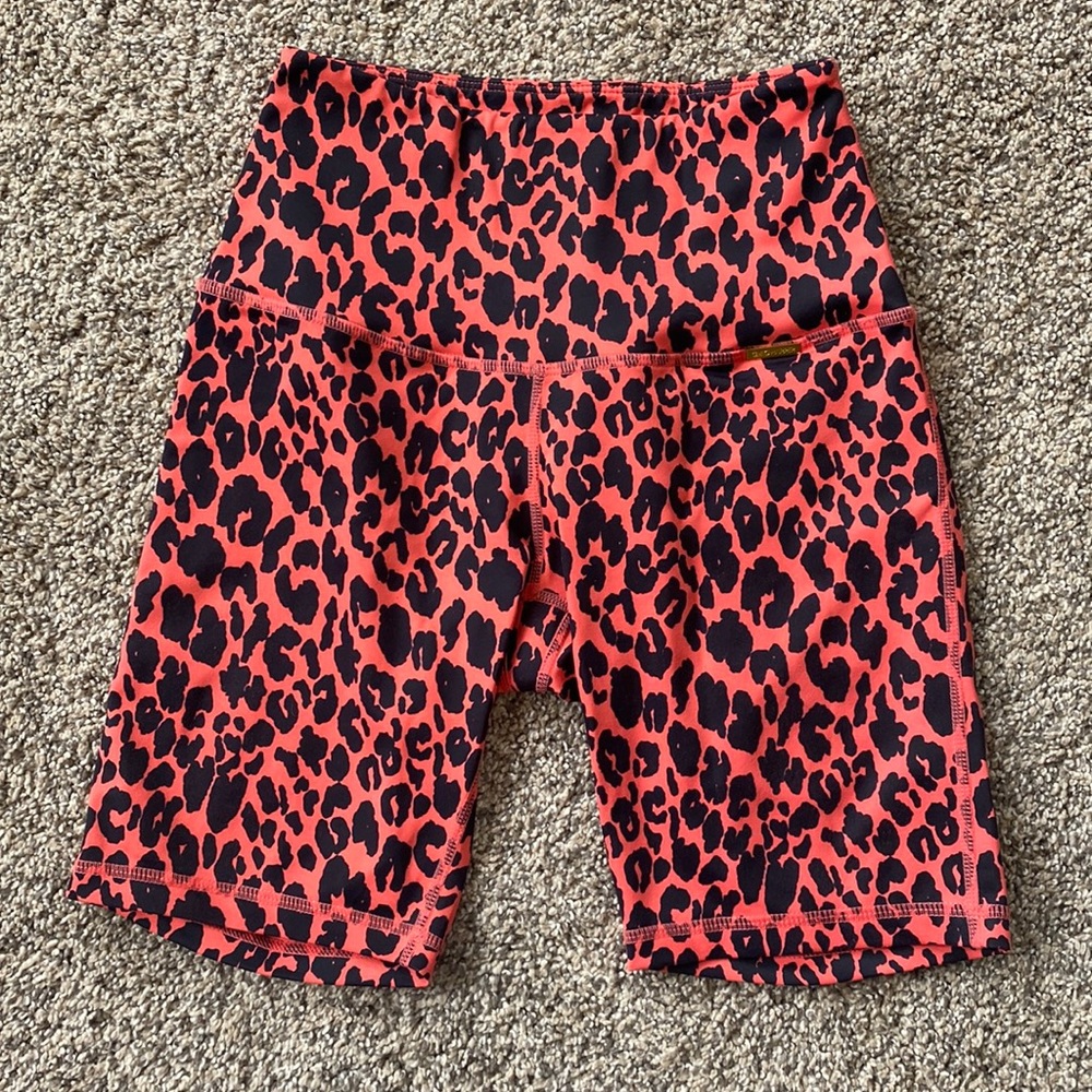 Cleo Harper Tour Shorts